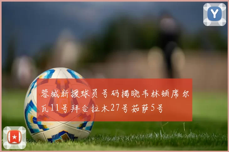 蓉城新援球员号码揭晓韦林顿席尔瓦11号拜合拉木27号茹萨5号