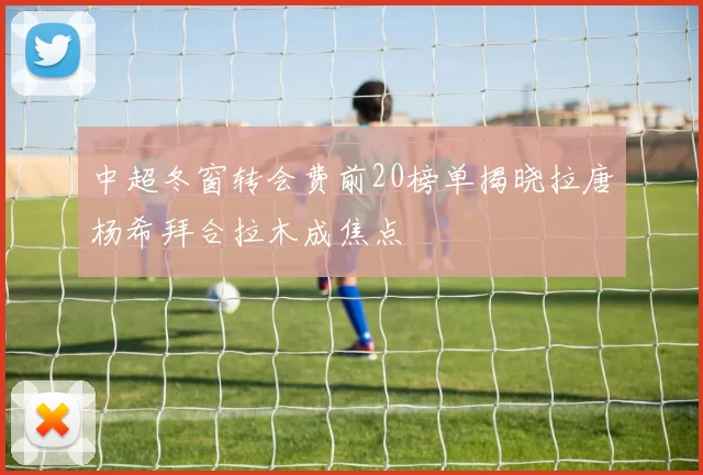 中超冬窗转会费前20榜单揭晓拉唐杨希拜合拉木成焦点